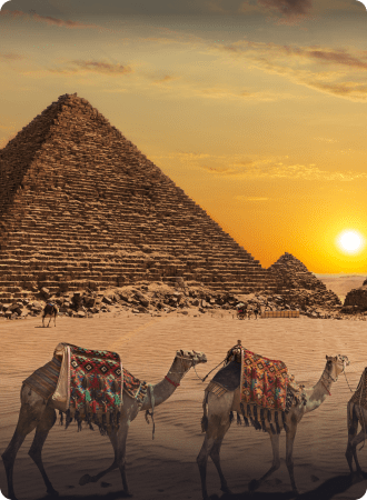 {{ destinationInfo.altText }}